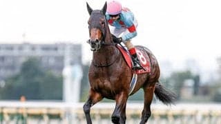 【アルゼンチン共和国杯想定騎手】オーソリティはC.ルメール騎手、ボスジラは田辺裕信騎手