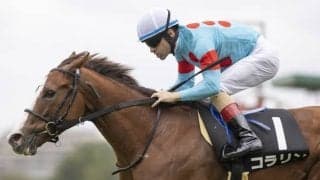 【京王杯2歳S展望】2歳戦で唯一の短距離GII、近年は距離延長組が台頭している