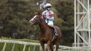 【京王杯2歳S想定騎手】コラリンはC.ルメール騎手、ジャスパークローネはM.デムーロ騎手