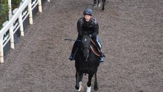 【ファンタジーS想定騎手】ナムラクレアは浜中俊騎手、ママコチャは藤岡佑介騎手