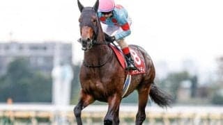 【アルゼンチン共和国杯予想オッズ】昨年覇者オーソリティがやや抜けた予想1番人気