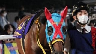 【みやこS予想オッズ】クリンチャーが予想1番人気、オーヴェルニュが続く