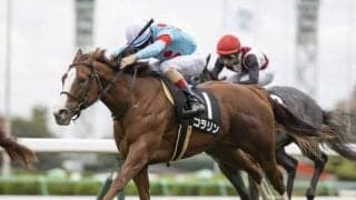 【京王杯2歳S予想オッズ】牝馬コラリンが予想1番人気