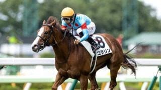 【京王杯2歳S「見逃せない調教師」ベスト3】東京芝1400m×ノーザンF生産馬で回収率100％超えの調教師は？