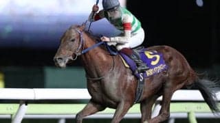 【大井・サンタアニタT結果】8歳馬トロヴァオが一気の抜け出しで完勝！重賞4勝目