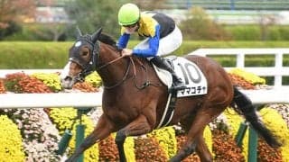 【ファンタジーS「見逃せない調教師」ベスト3】阪神芝1400mで複勝率55.6％と圧倒的な成績を残す調教師は？