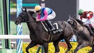 【ファンタジーS展望】内回りながら末脚が要求される2歳牝馬重賞