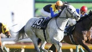 【アルゼンチン共和国杯「見逃せない調教師」ベスト3】アルゼンチン共和国杯の舞台で絶対に外せないのは○○調教師！