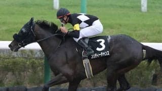 【みやこS「見逃せない調教師」ベスト3】今年は阪神ダート1800mで2回に1回馬券に絡んでいる調教師は？