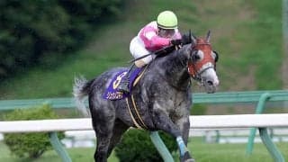 【JBCスプリント 注目馬】目下8戦連続連対中の超安定株がJpnI制覇へ