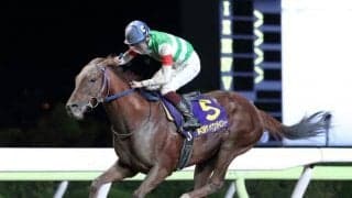 【大井・サンタアニタトロフィー】優勝の8歳馬トロヴァオの笹川翼騎手「8歳でも本当に馬は若い」