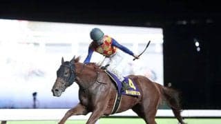 【JBCクラシック 14時時点オッズ】テーオーケインズが単勝2.4倍の1番人気　オメガパフューム、カジノフォンテンと続く