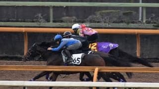 デゼル、エリザベス女王杯1週前追い切り速報/栗東トレセンニュース