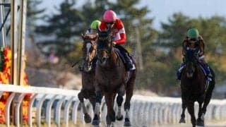 【JBCスプリント】またまた川田！レッドルゼルが最内強襲