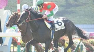 【AI予想】配当的な妙味あり？ アルゼンチン共和国杯で穴党の注目を集めそうな1頭を分析