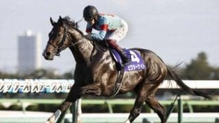 日本馬6頭に香港国際競走の招待状　ピクシーナイト、インディチャンプは招待受諾