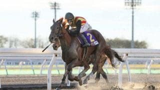 【JBC2歳優駿】三浦「終始手応えは良かった」アイスジャイアントがデビュー2連勝