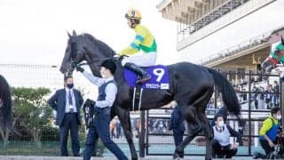 【JBCスプリント】松山「ムラがあるのかな…」サクセスエナジーは見せ場なく7着敗退