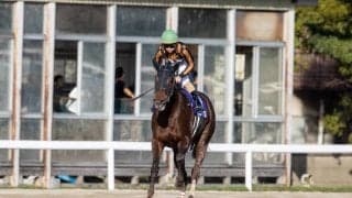 【JBCスプリント】松若「1200がベストかな」モズスーパーフレアは粘りきれず3着