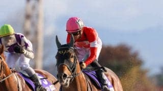 【JBCスプリント】吉原寛「逆に内を突いた」サンライズノヴァは出遅れるも2着確保