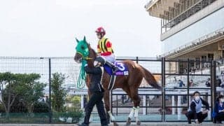 【JBCレディスクラシック】斉藤新「勝ち馬の決め手が上だった」マドラスチェックは2着惜敗