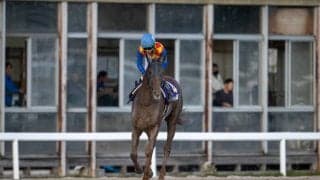 【JBCクラシック】松山「リズムが悪かった」テーオーケインズは出遅れで4着