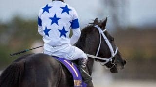 【JBCクラシック】戸崎「次が更に良くなるんじゃないかな」チュウワウィザードは3着