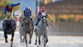 【JBCクラシック】デムーロ「残念です」オメガパフュームは惜しい2着