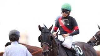 【アルゼンチン共和国杯展望】スタミナ型が幅を利かせるレース、あの馬に期待したい