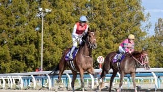 【JBCレディスクラシック】武豊「いつか重賞獲れる」レース後ジョッキーコメント