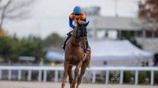 【JBCクラシック】松山「スタートを上手く出れなくて…」レース後ジョッキーコメント