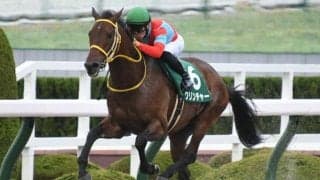 【みやこS展望】チャンピオンズCの前哨戦、好走の条件とは