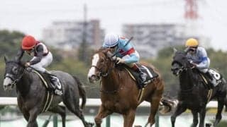 【京王杯2歳S出走馬・騎手確定】コラリン＆ルメール騎手、ジャスパークローネ＆デムーロ騎手など14頭