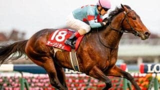 【アルゼンチン共和国杯出走馬・騎手確定】オーソリティ＆ルメール騎手、アンティシペイト＆横山武史騎手など15頭