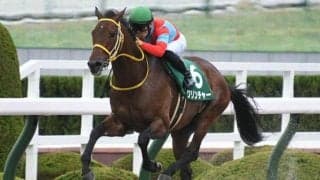 【みやこS出走馬・騎手確定】クリンチャー＆武豊騎手、オーヴェルニュ＆和田竜二騎手など16頭