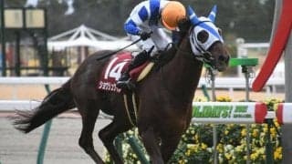 ショウリュウイクゾが引退、乗馬に　今年の日経新春杯覇者