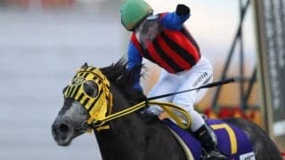 【JBCクラシック回顧】ミューチャリーが地方馬に悲願のタイトル/斎藤修