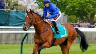 ビッグレッドファームがベンバトルを導入 2018年ドバイターフなどG1・3勝