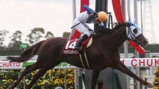 ショウリュウイクゾが競走馬登録抹消