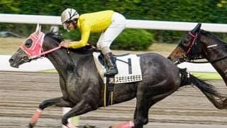 ユニークなアイドルとタフな牝馬/島田明宏