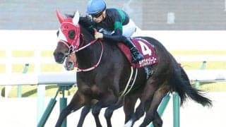 日本調教馬にチャンスあり!?「世界一馬場が固い」デルマー競馬場で開催される今年のブリーダーズC