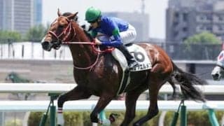 京王杯２歳Ｓは再び波乱傾向か。前走の敗戦で人気落ちした素質馬の反撃に期待