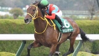 【みやこS枠順確定】クリンチャーは6枠11番、オーヴェルニュは5枠9番