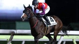 【大井・はくたか特別結果】3番人気のロマンスロードが無敗の3連勝