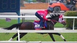 北米最大の競馬の祭典、ブリーダーズカップ。馬券が買える３レースで期待の日本馬と海外馬は？