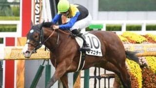 【ファンタジーS予想】昨年はメイケイエールが勝利！ 昨年に引き続き阪神開催で、ミッキーアイル産駒の連覇なるか!?/JRAレース展望