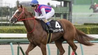 【京王杯2歳S予想】C.ルメール騎手が過去5年で4勝！ 関西馬が3年連続連対中だが…/JRAレース展望