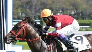 【次走】藤田晋氏所有のデュガ　福島2歳Sか自己条件で2勝目狙う