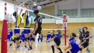 群馬・春高バレー　６日代表決定　男子・明和県央ら実力拮抗　女子・若い健大高崎に勢い
