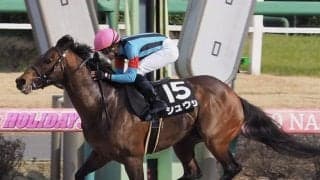 シュウジが競走馬登録抹消